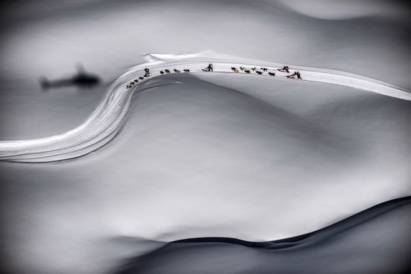 俯视雪橇比赛